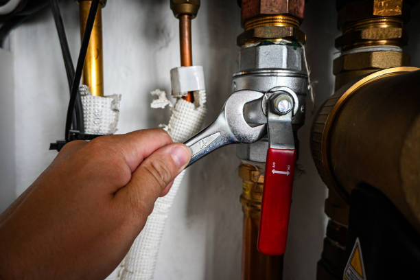 Best Commercial Plumbing Services  in Brownsburg, IN
